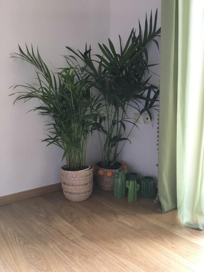 Olive Tree Cottage 2 Néa Péramos Екстериор снимка
